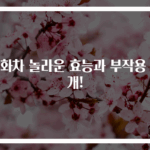 쌍화차 놀라운 효능과 부작용 공개!