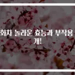 쌍화차 놀라운 효능과 부작용 공개!
