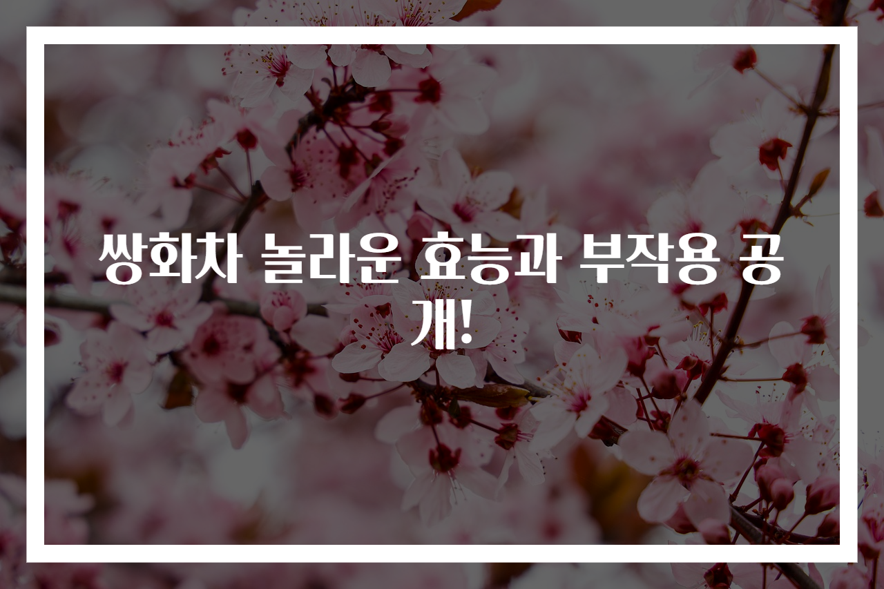 쌍화차 놀라운 효능과 부작용 공개!