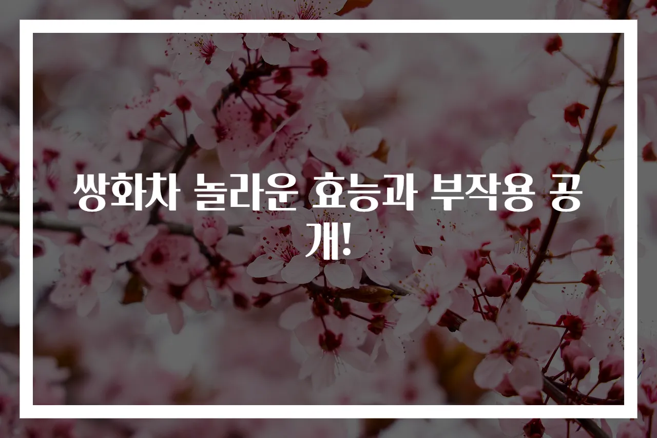 쌍화차 놀라운 효능과 부작용 공개!