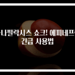 아나필락시스 쇼크! 에피네프린 긴급 사용법
