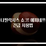 아나필락시스 쇼크! 에피네프린 긴급 사용법