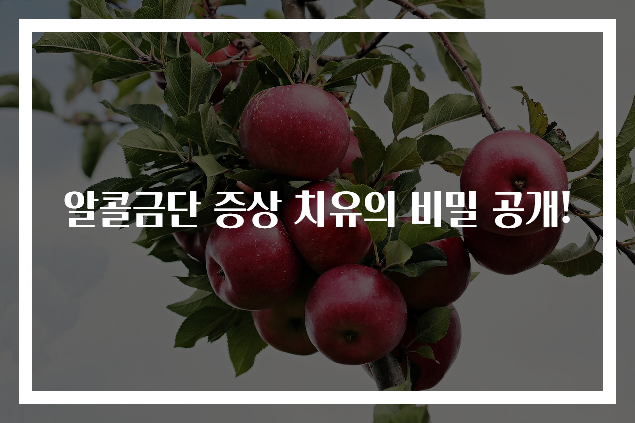 알콜금단 증상 치유의 비밀 공개!