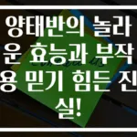 양태반의 놀라운 효능과 부작용 믿기 힘든 진실!