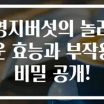 영지버섯의 놀라운 효능과 부작용 비밀 공개!