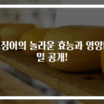 오징어의 놀라운 효능과 영양비밀 공개!