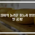 오징어의 놀라운 효능과 영양비밀 공개!