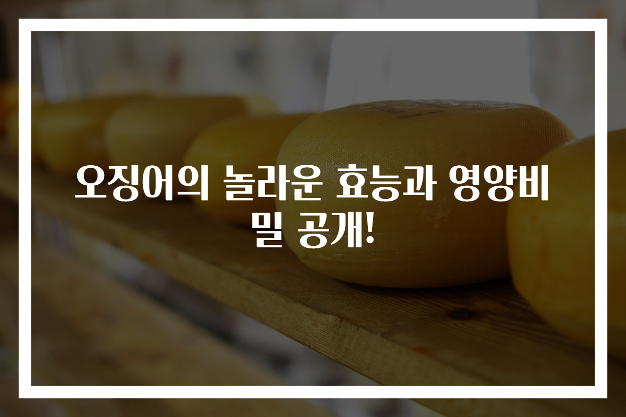 오징어의 놀라운 효능과 영양비밀 공개!
