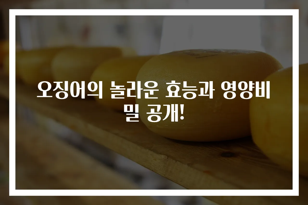 오징어의 놀라운 효능과 영양비밀 공개!