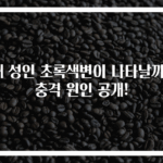 왜 성인 초록색변이 나타날까? 충격 원인 공개!
