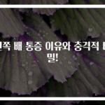 왼쪽 배 통증 이유와 충격적 비밀!