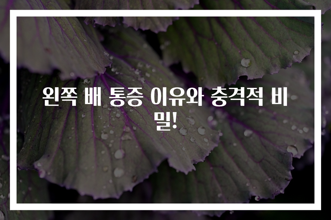 왼쪽 배 통증 이유와 충격적 비밀!