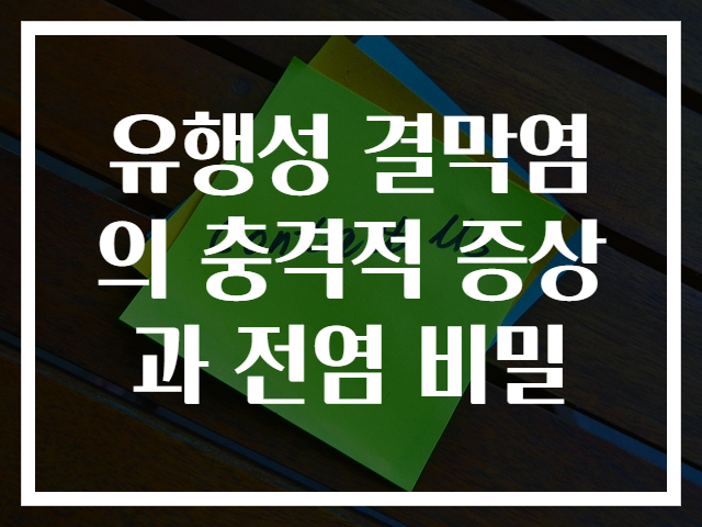 유행성 결막염의 충격적 증상과 전염 비밀