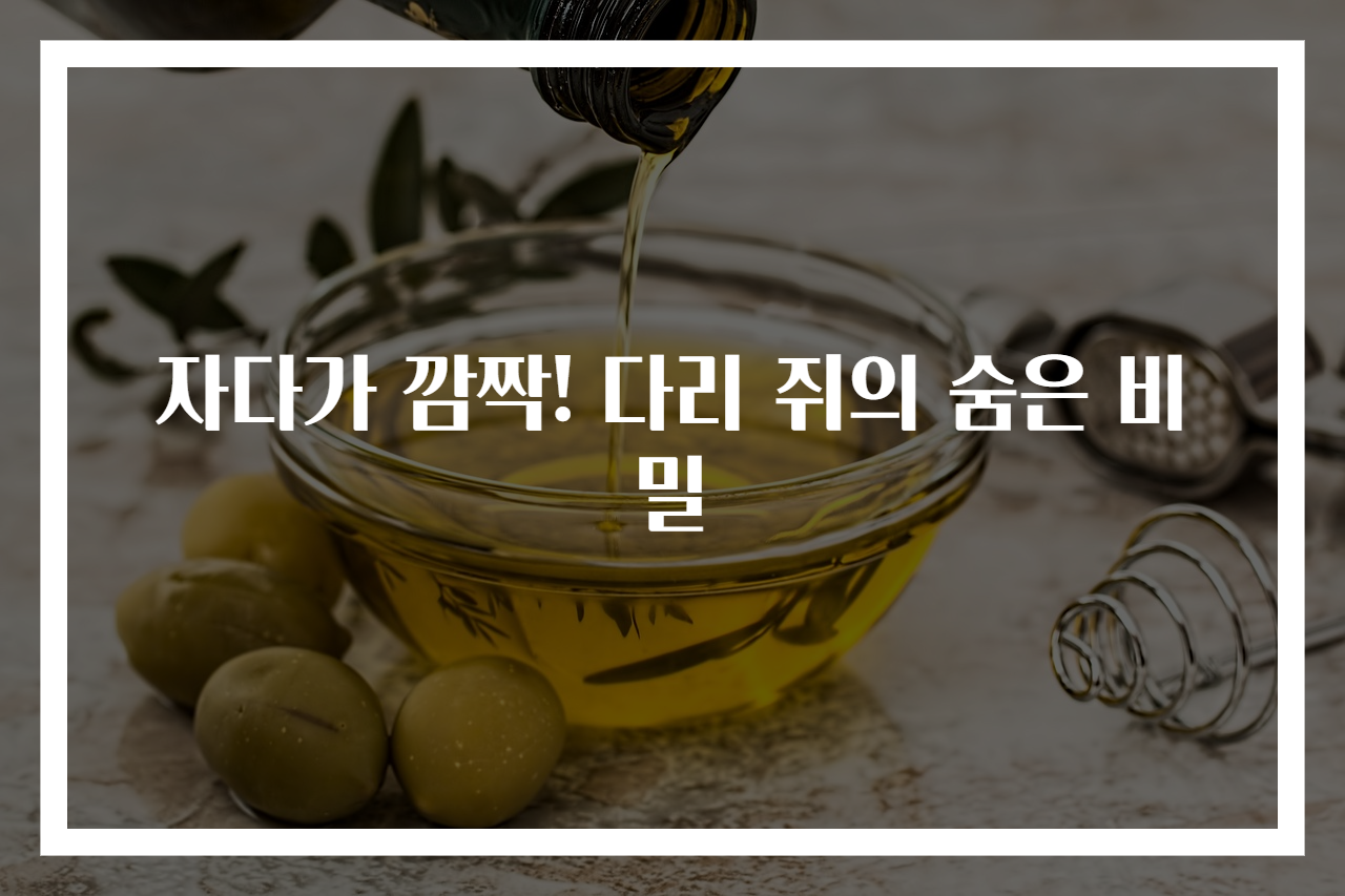 자다가 깜짝! 다리 쥐의 숨은 비밀