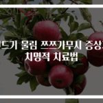진드기 물림 쯔쯔가무시 증상과 치명적 치료법