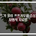 진드기 물림 쯔쯔가무시 증상과 치명적 치료법
