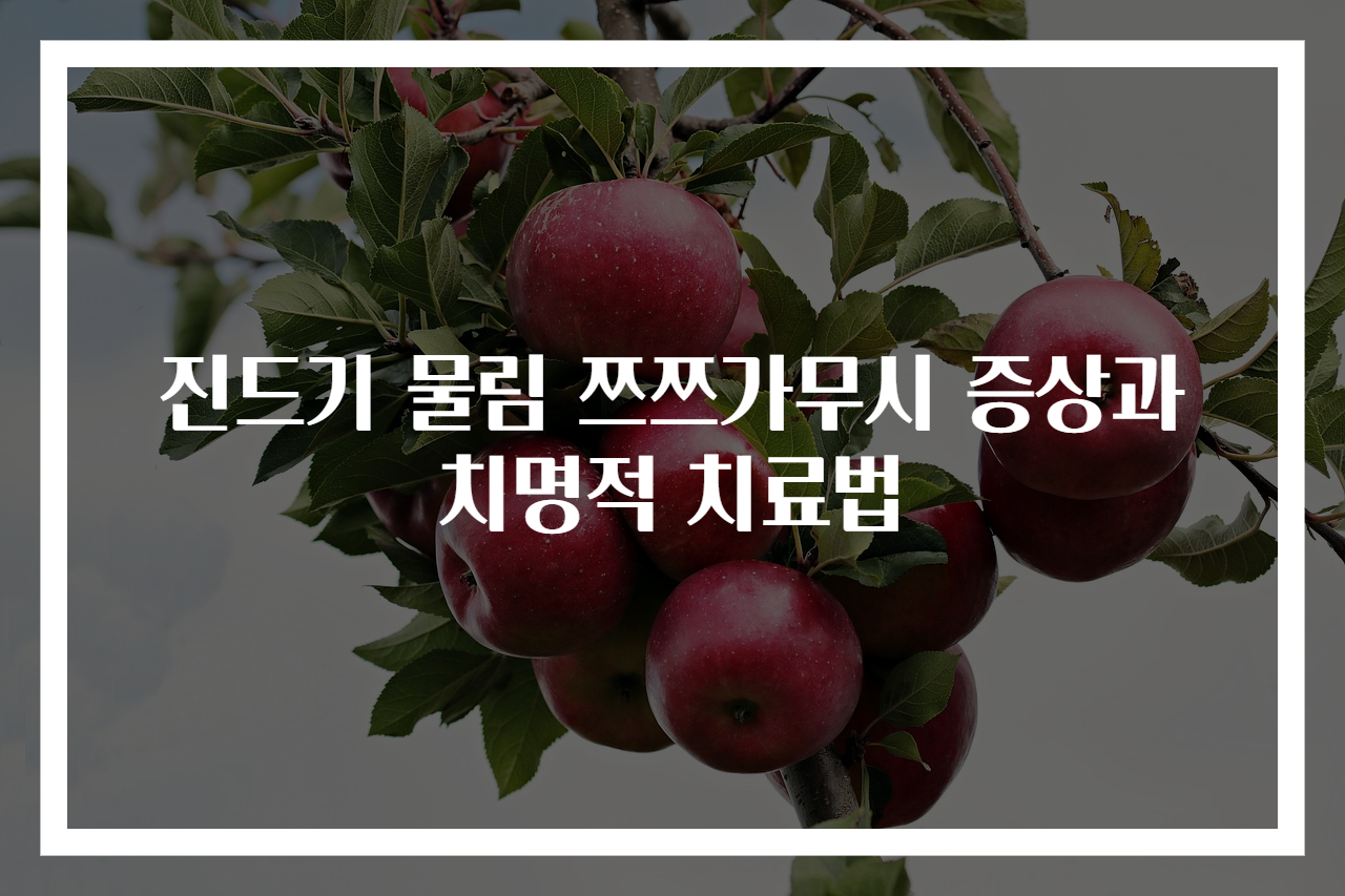 진드기 물림 쯔쯔가무시 증상과 치명적 치료법
