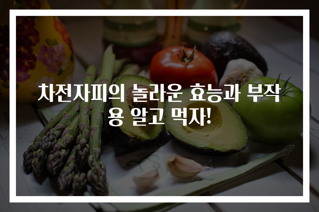 차전자피의 놀라운 효능과 부작용 알고 먹자!