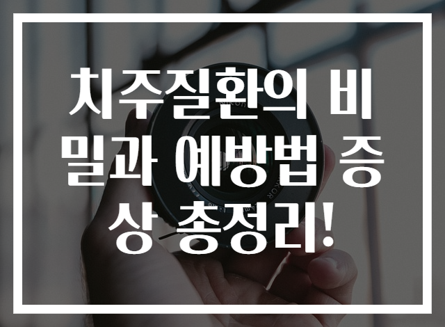 치주질환의 비밀과 예방법 증상 총정리!