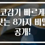 코감기 빠르게 낫는 8가지 비밀 공개!