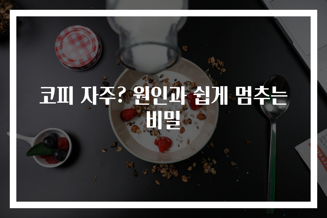 코피 자주? 원인과 쉽게 멈추는 비밀