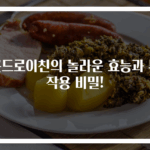 콘드로이친의 놀라운 효능과 부작용 비밀!