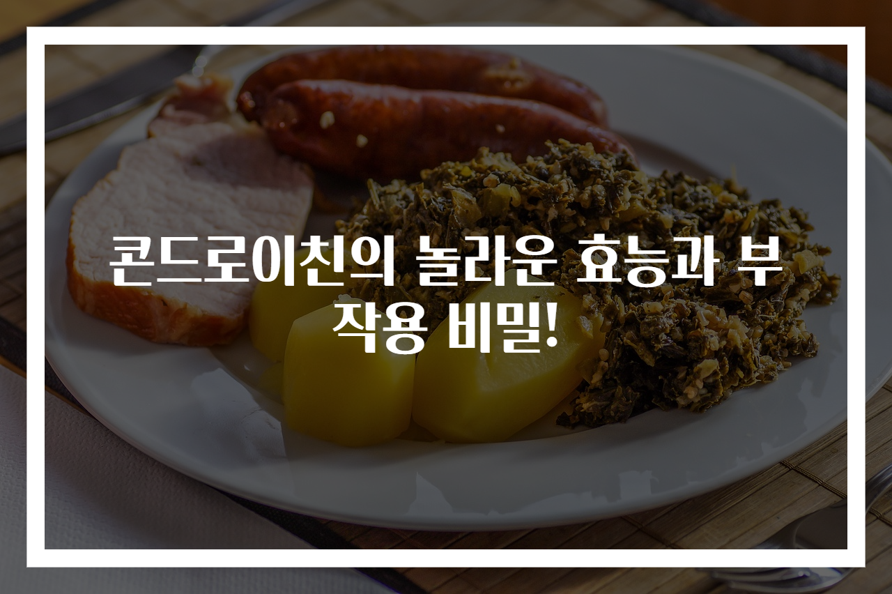 콘드로이친의 놀라운 효능과 부작용 비밀!