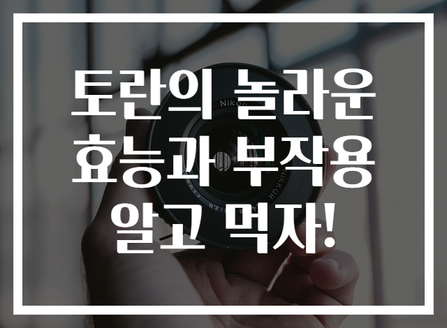 토란의 놀라운 효능과 부작용 알고 먹자!