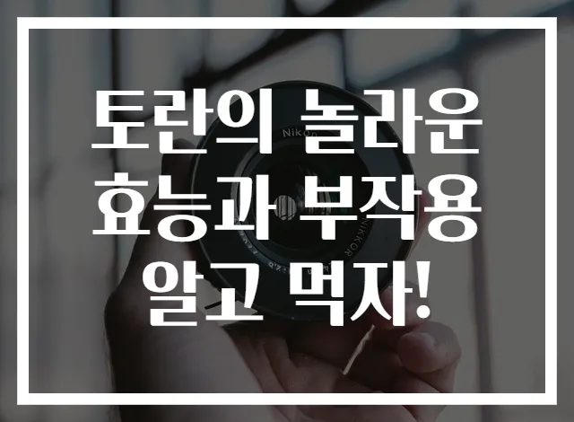 토란의 놀라운 효능과 부작용 알고 먹자!