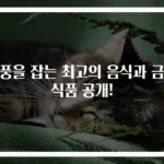 통풍을 잡는 최고의 음식과 금기 식품 공개!