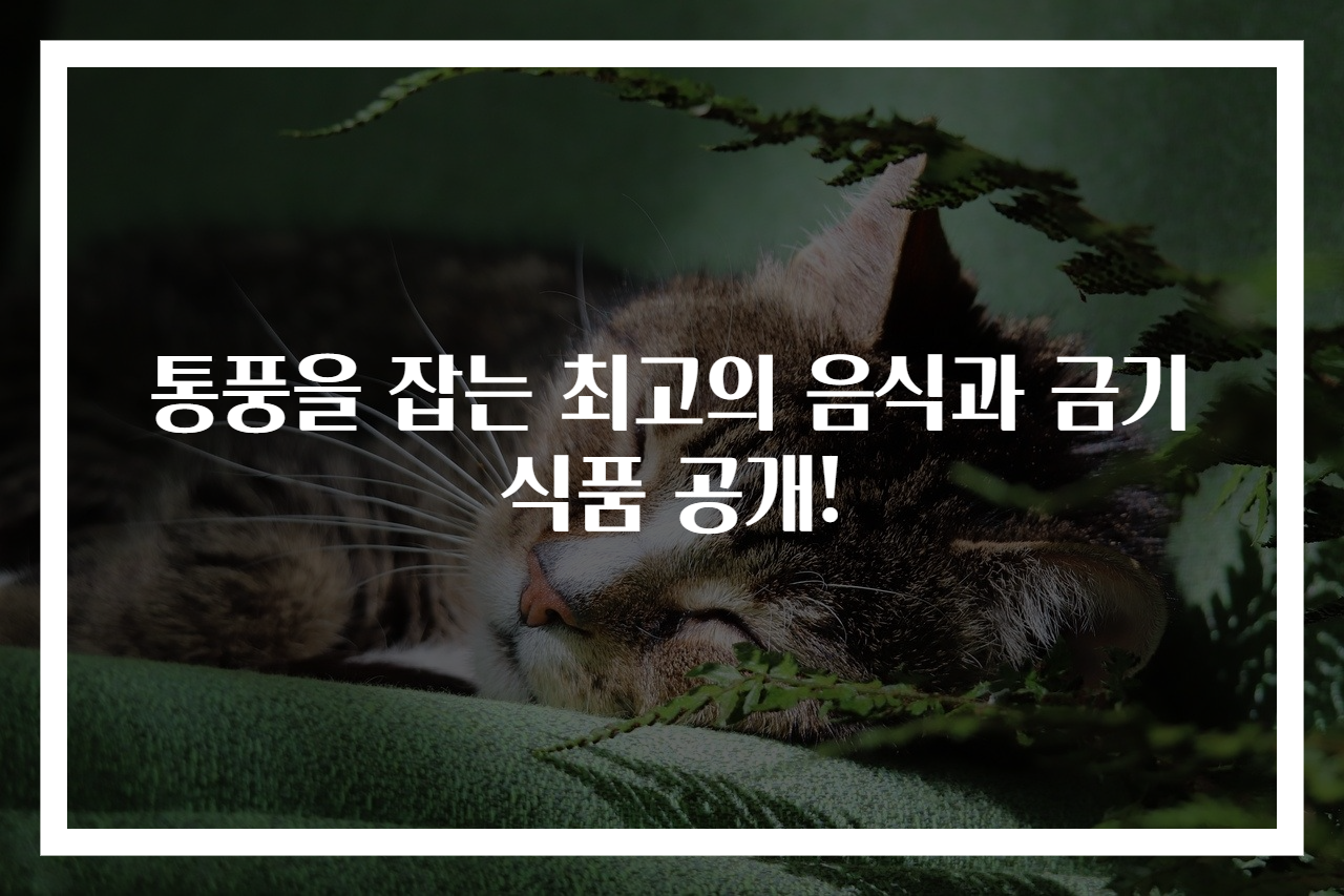 통풍을 잡는 최고의 음식과 금기 식품 공개!