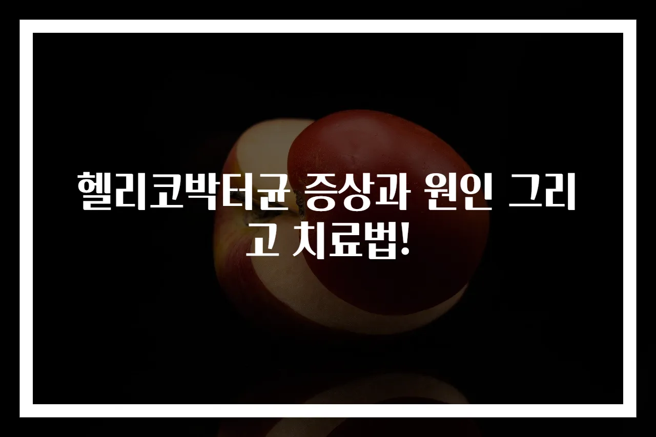 헬리코박터균 증상과 원인 그리고 치료법!