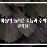 흑마늘의 놀라운 효능과 주의할 부작용!