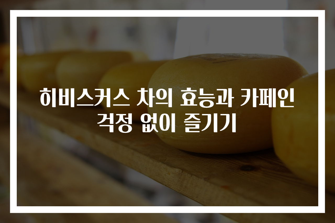 히비스커스 차의 효능과 카페인 걱정 없이 즐기기