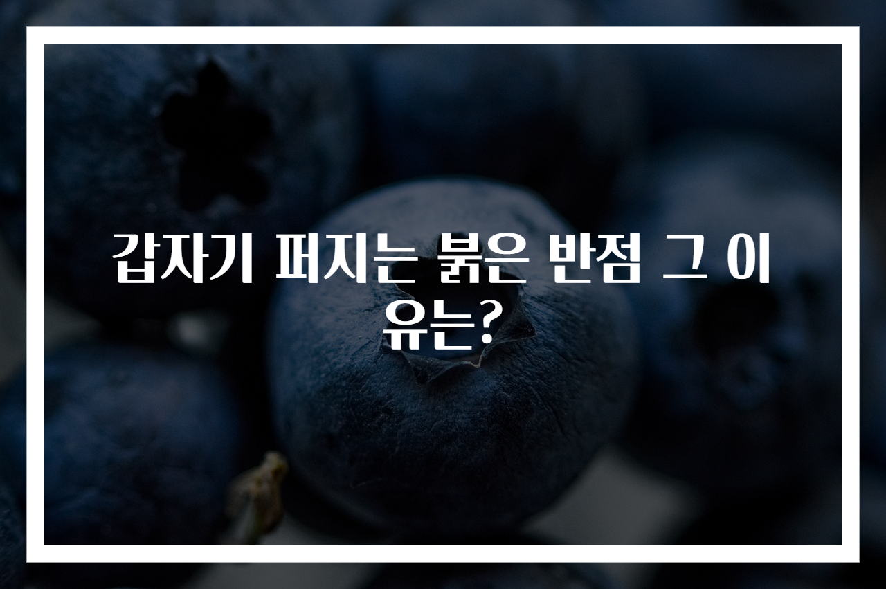 갑자기 퍼지는 붉은 반점 그 이유는? - 원클릭 정보
