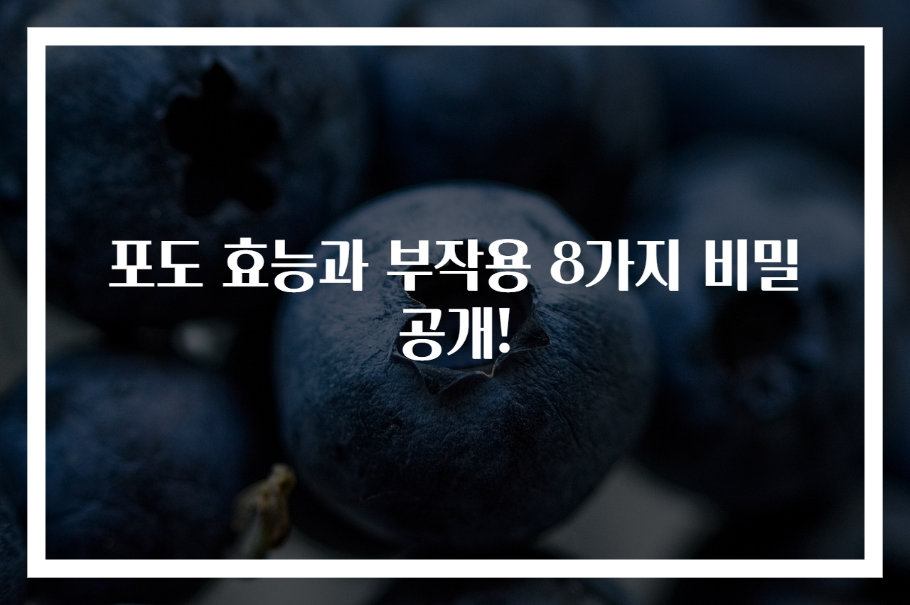 포도 효능과 부작용 8가지 비밀 공개! - 원클릭 정보