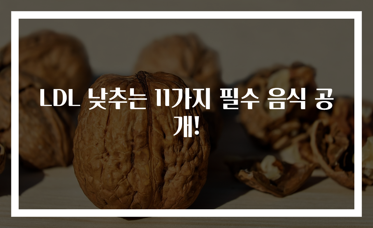 LDL 낮추는 11가지 필수 음식 공개!