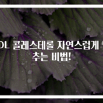 LDL 콜레스테롤 자연스럽게 낮추는 비법!