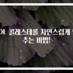 LDL 콜레스테롤 자연스럽게 낮추는 비법!