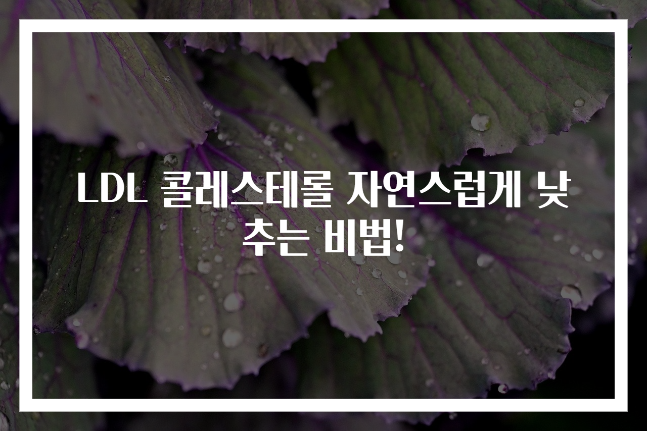 LDL 콜레스테롤 자연스럽게 낮추는 비법!
