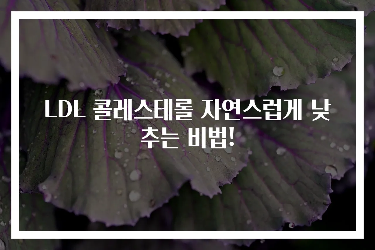 LDL 콜레스테롤 자연스럽게 낮추는 비법!