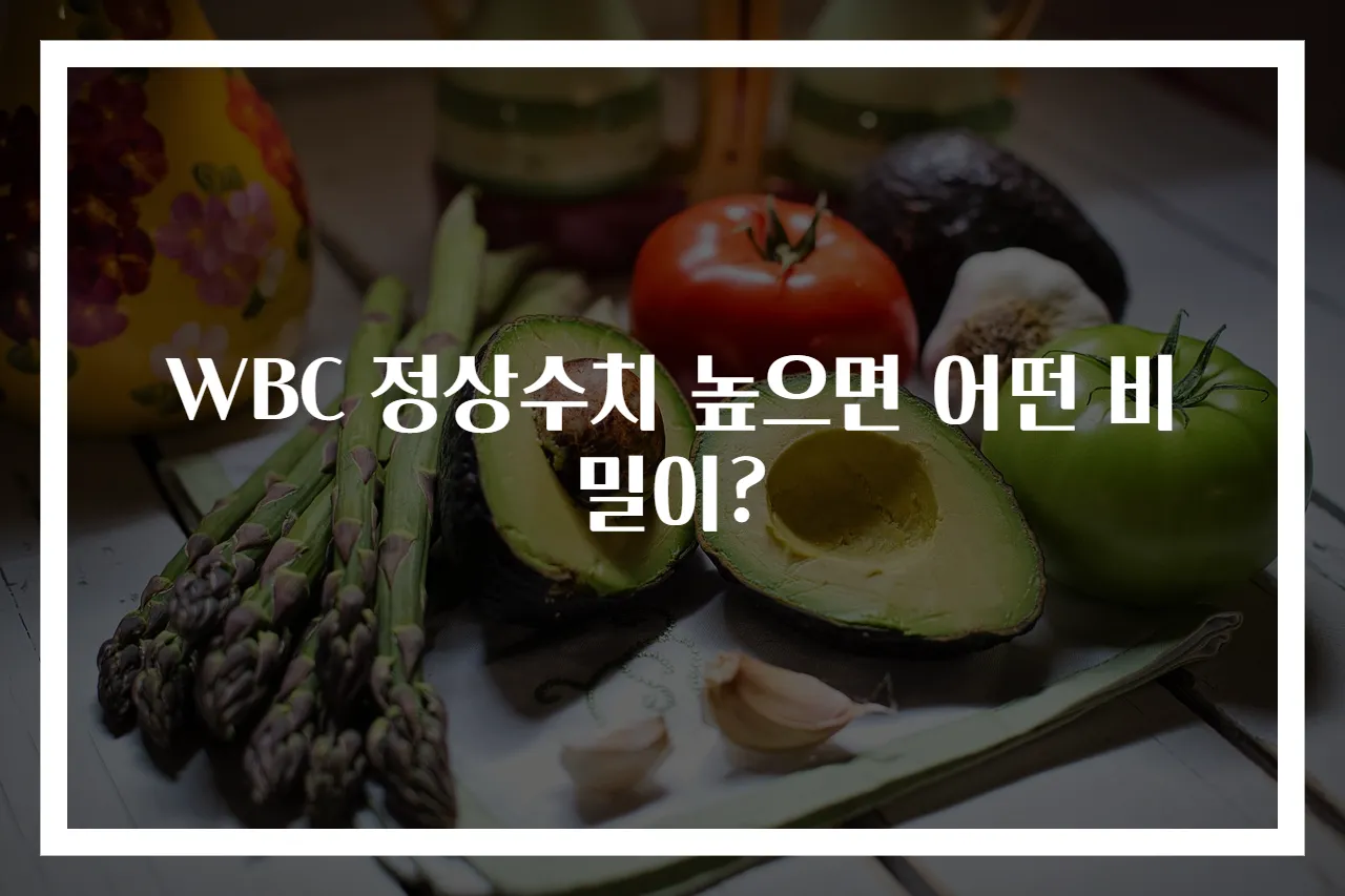 WBC 정상수치 높으면 어떤 비밀이?