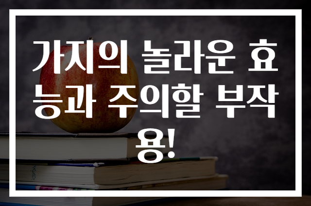 가지의 놀라운 효능과 주의할 부작용!
