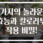 가지의 놀라운 효능과 칼로리부작용 비밀!
