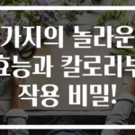 가지의 놀라운 효능과 칼로리부작용 비밀!