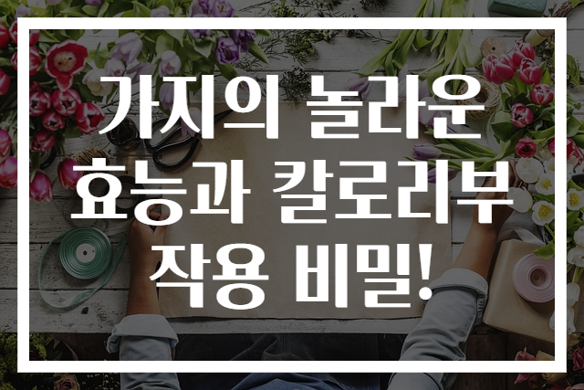 가지의 놀라운 효능과 칼로리부작용 비밀!