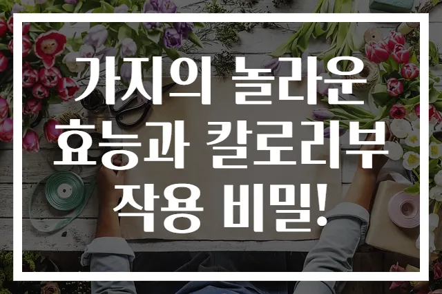 가지의 놀라운 효능과 칼로리부작용 비밀!