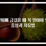 갈비뼈 금갔을 때 꼭 알아야 할 증상과 치유법