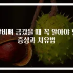 갈비뼈 금갔을 때 꼭 알아야 할 증상과 치유법