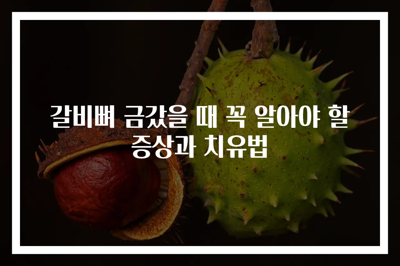 갈비뼈 금갔을 때 꼭 알아야 할 증상과 치유법